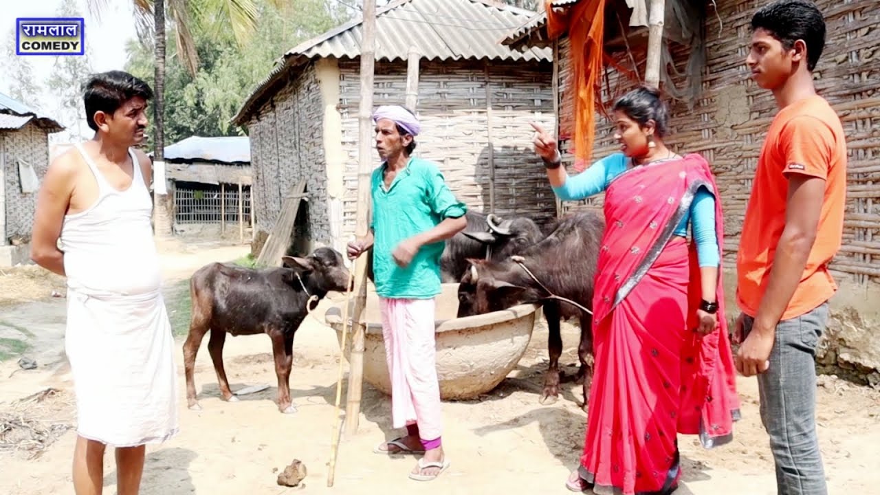 रामलाल बड़का भैंस व्यापारी // ramlal ghar me bhains vyapari 2025 #maithilicomedyvideo