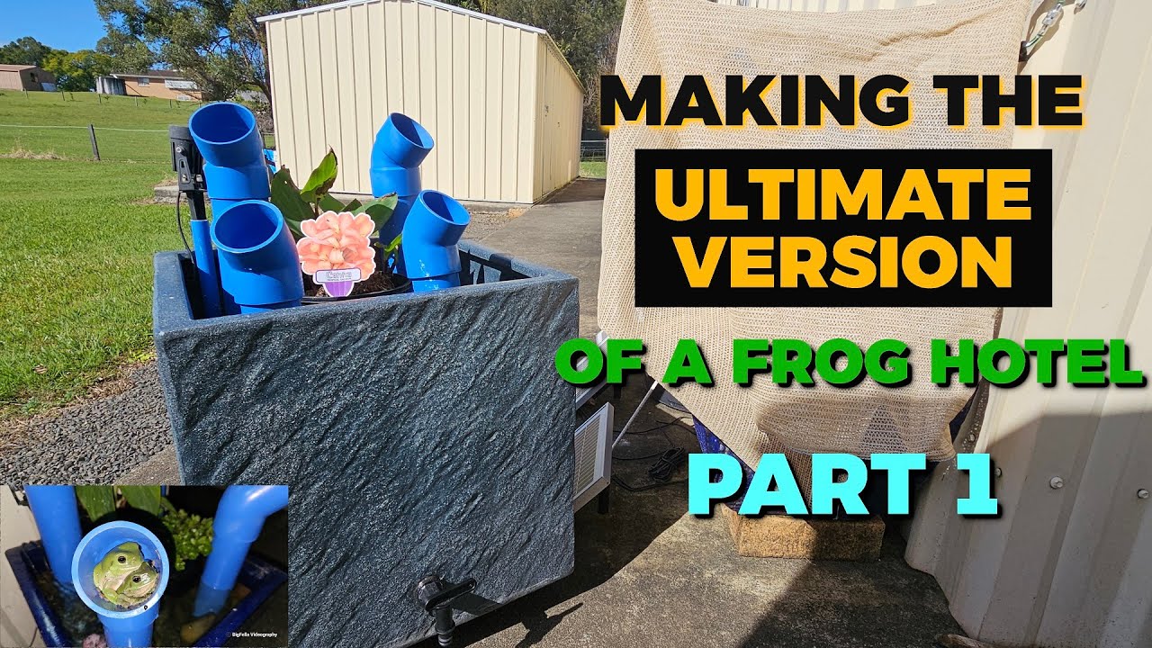 How to make the ULTIMATE Frog Hotel - Pt.1