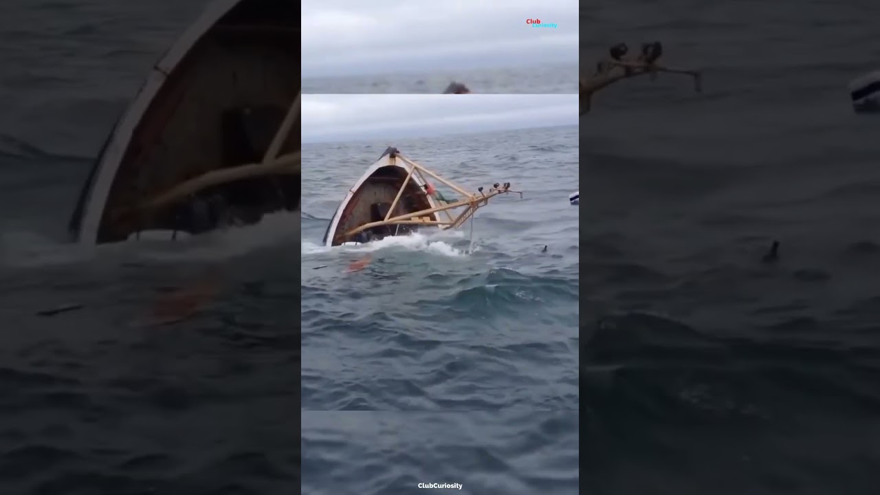 Naufragio y Rescate #shorts #naufragio #mar #barcos #sabiasque