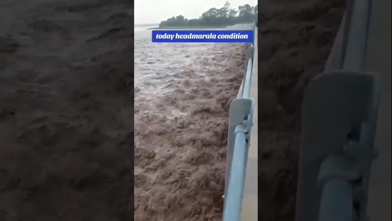🌊 Massive Flood Flow at Head Marala#headmarala #flood #pakistan #travelvlog #ytshorts