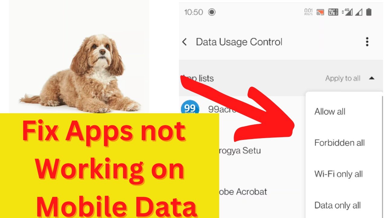 Fix apps not working on mobile internet data