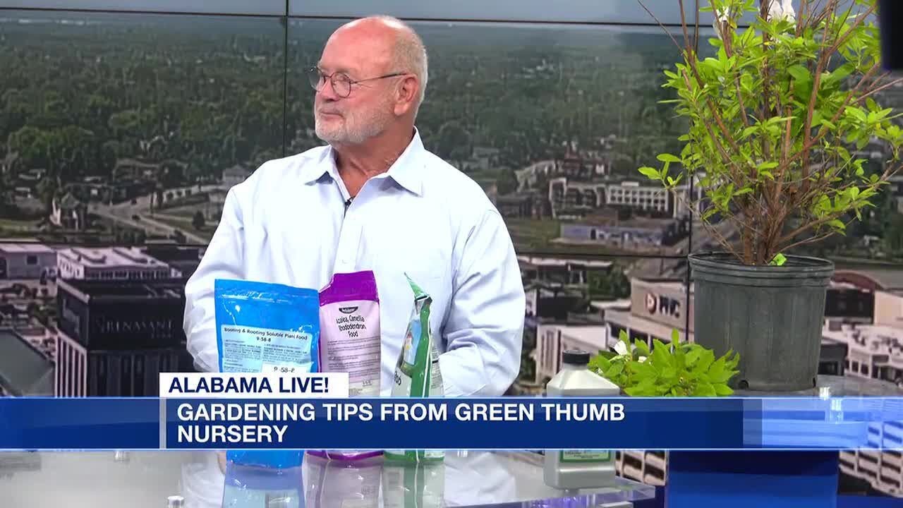 Gardening tips from Green Thumb Nursery