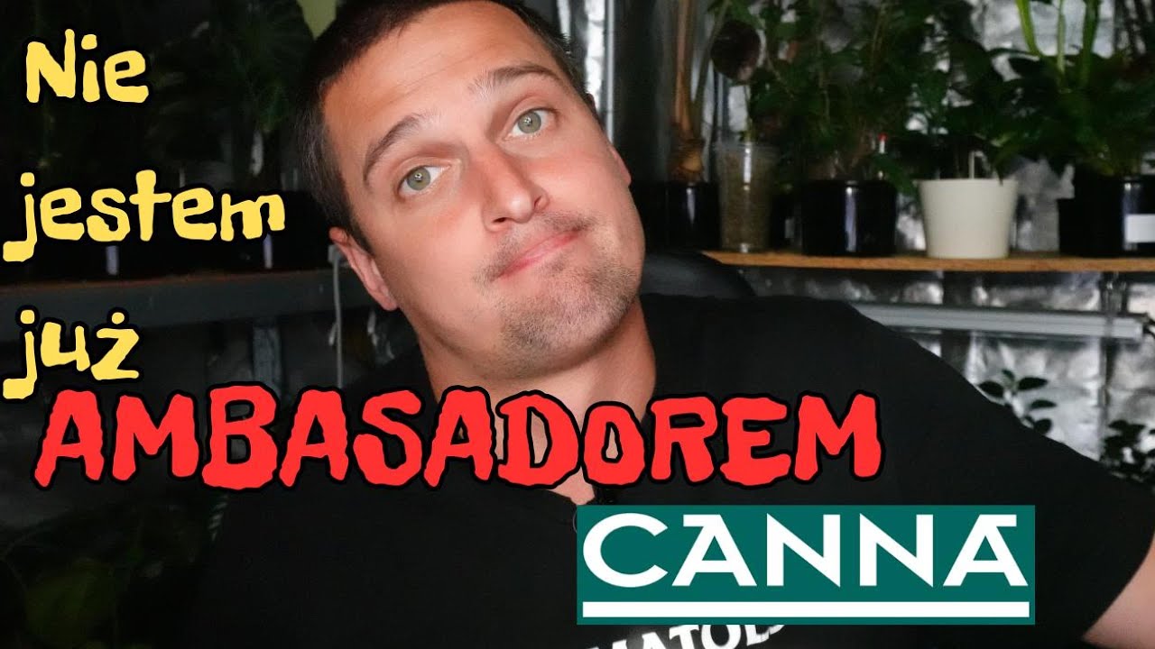 Nie jestem już Ambasadorem CANNA - co dalej? Nowa współpraca? Nowe filmy?