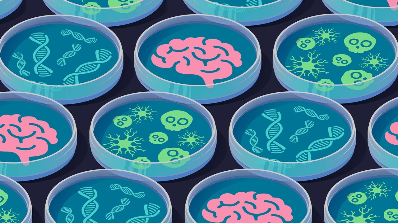 Joseph Herdy talks zombie cells, selfish genes, and Alzheimer’s disease