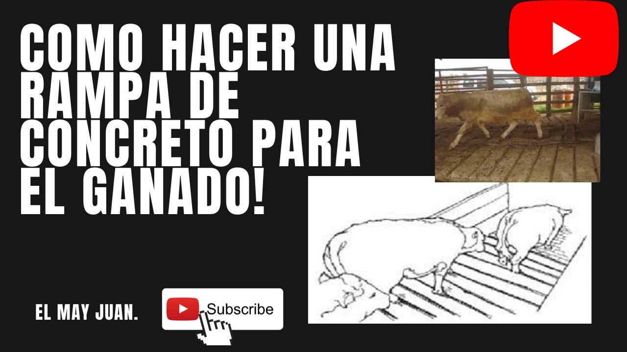 COMO  HACER UNA RAMPA PARA EL GANADO