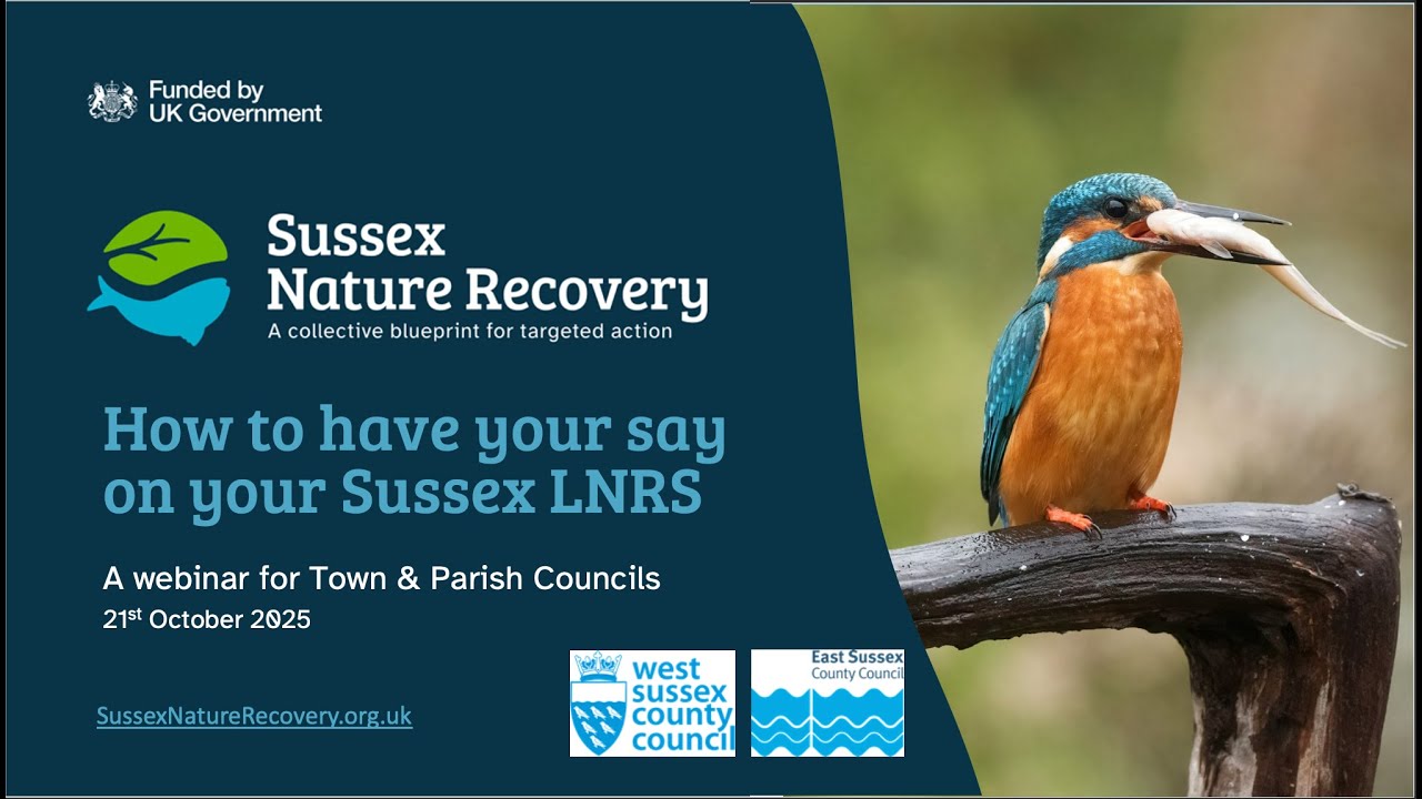 LNRS Have Your Say   Town & Parish Councils 21st October 2025