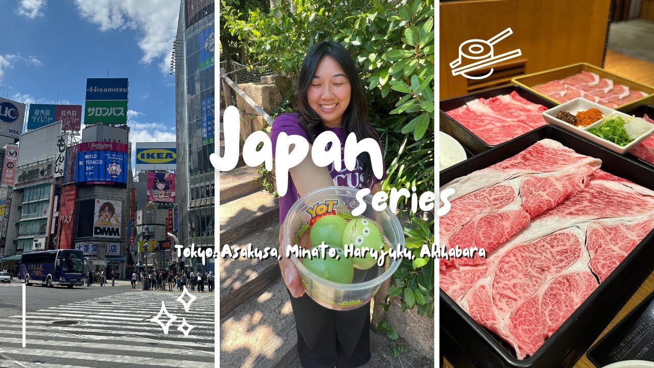 Tokyo: Shinjuku, Shibuya & DisneySea | Japan Series Pt. 1