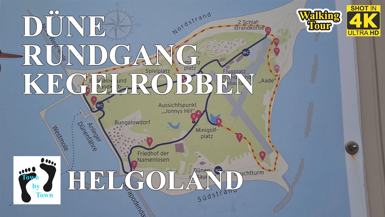 💥 Helgoland, Dunes, Seals, Island walk, 90 MINUTES, 4k, 60fps