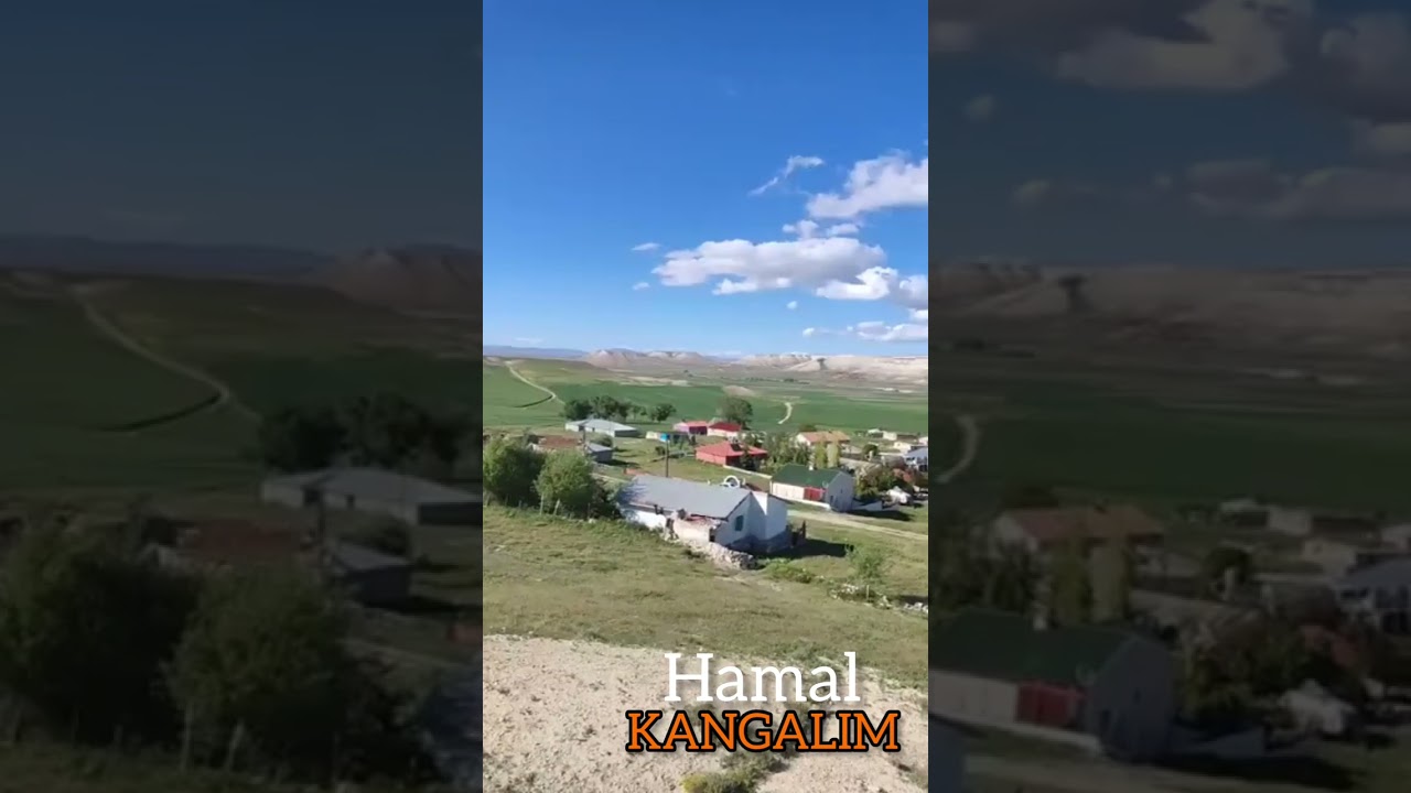 Aysel Demirci ile Hamal köyü