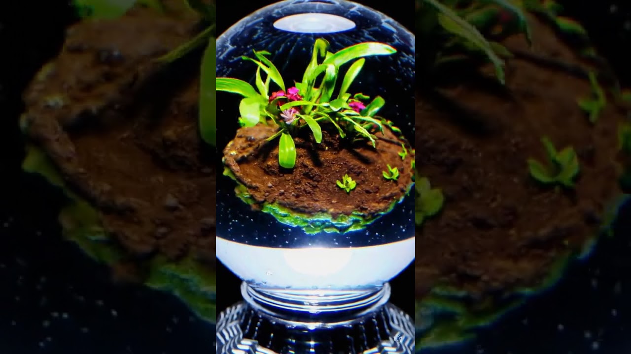 A crystal ball containing the entire transformation of a garden