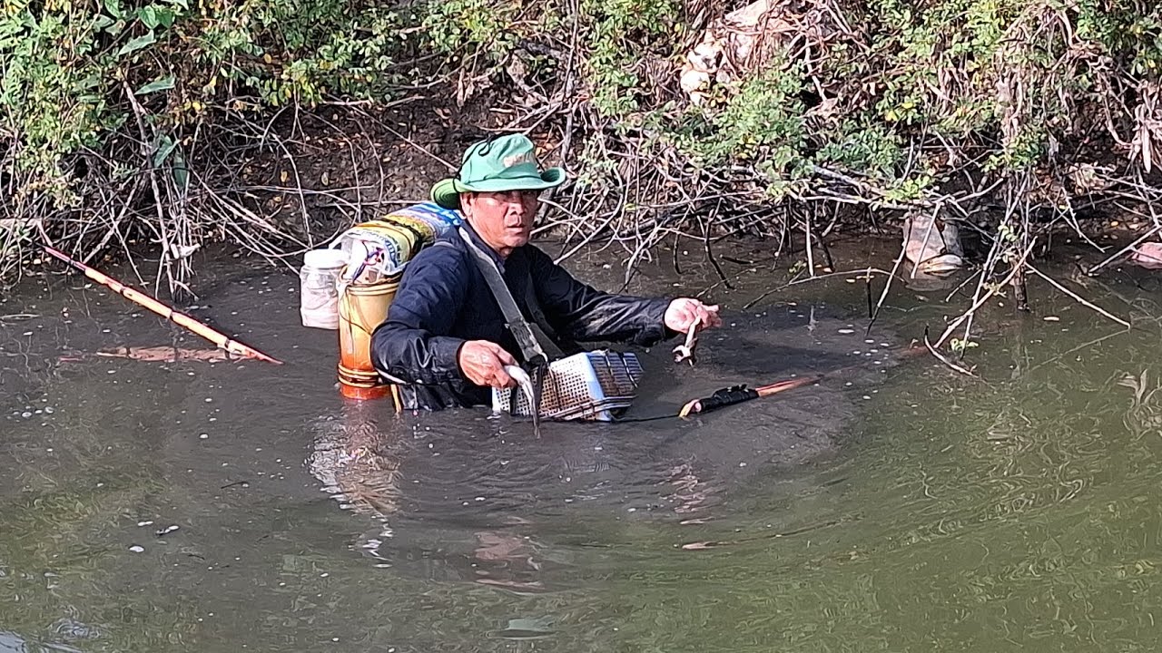 Nay chú sáu đi tét cây 14f nha, nay cả nhà ếch cá nhiều không cả nhà, quá đã rồi  