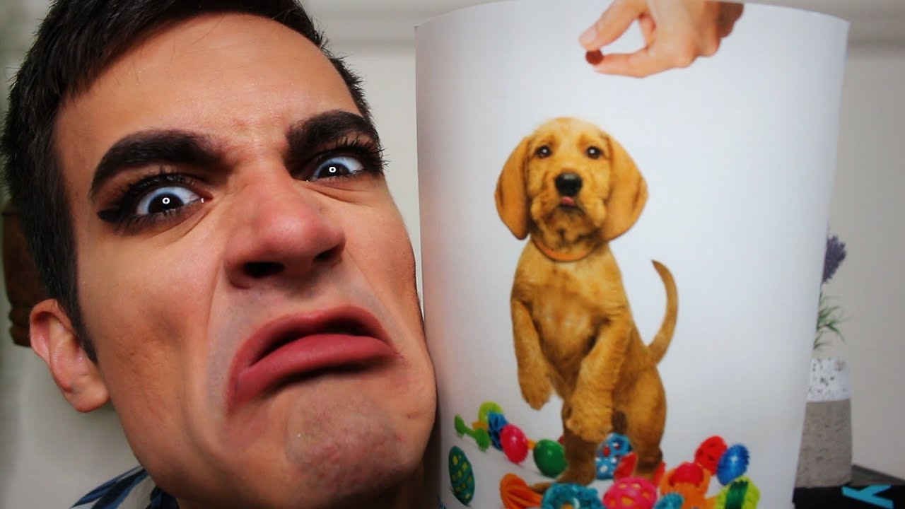Try Not To Laugh at this ASMR Video! 😂 If You Laugh, You Lose!