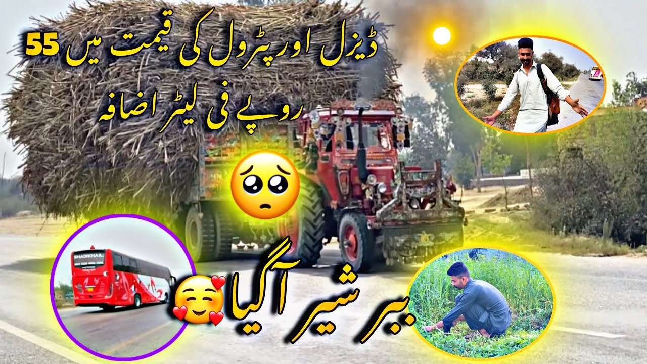 Dezal aur pitrol ki qemat men 55 ropy fee letar izafa 🥹 || ببر شیر آگیا😁