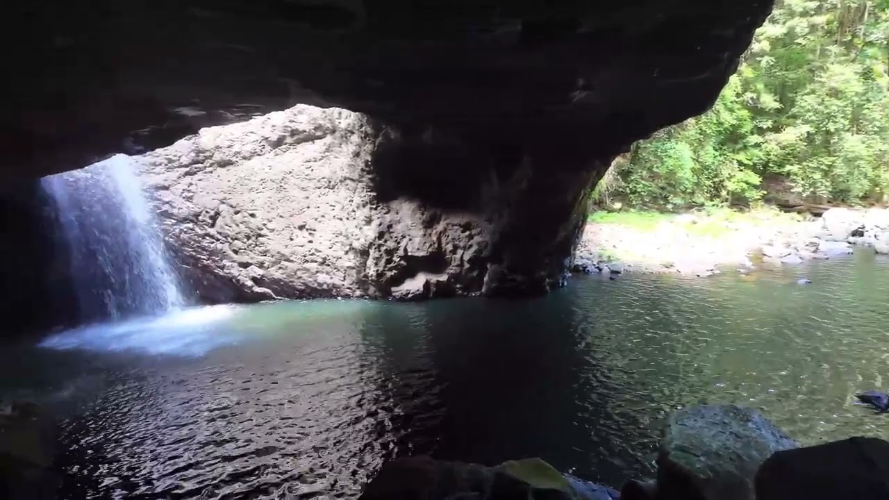 The Natural Bridge Circuit - Springbrook National Park