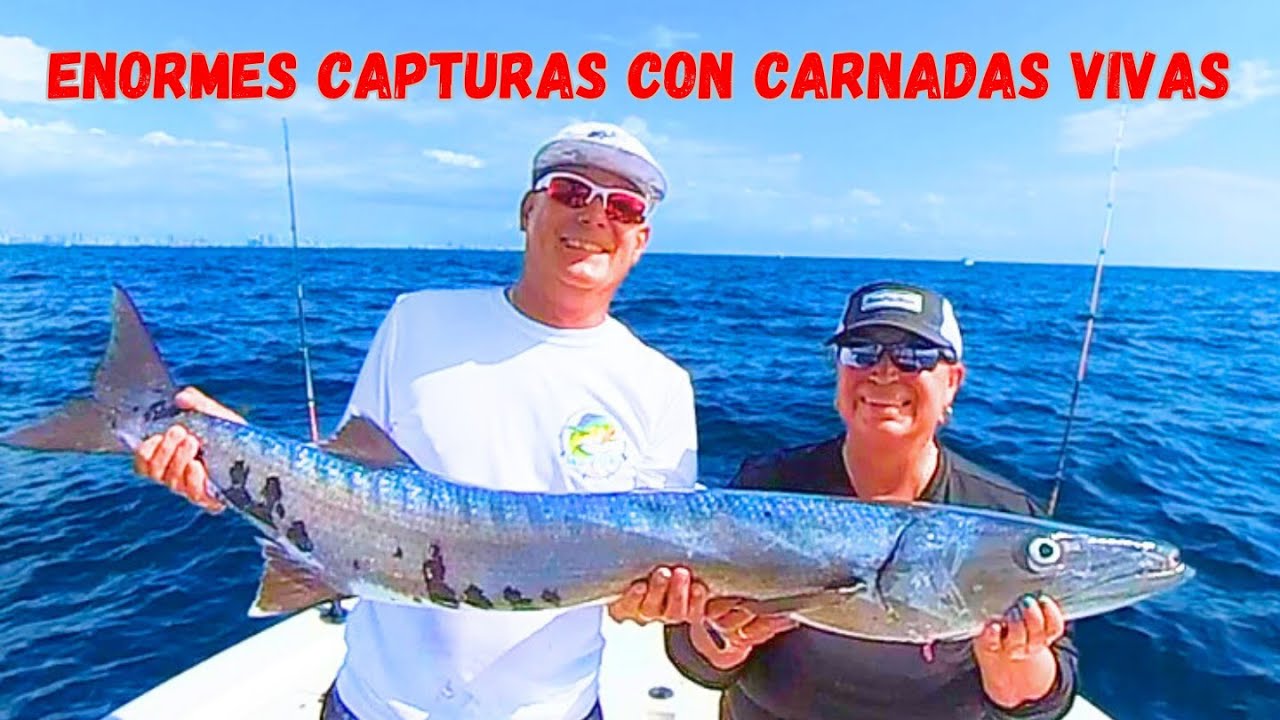 PESCA EN MAR ABIERTO CON CARNADAS VIVAS Enormes Capturas