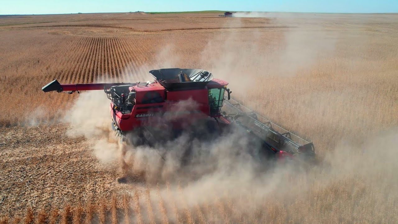 LaRosh Soybean Harvest 2023