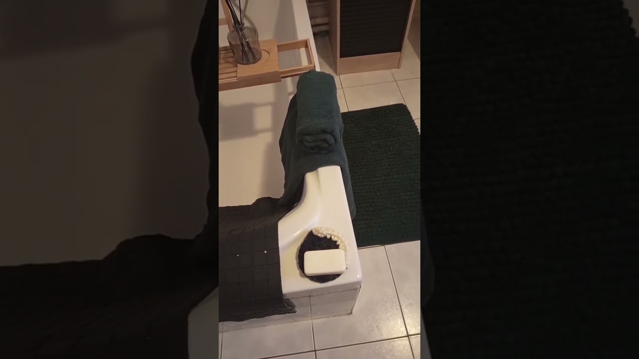 Tapis et serviettes de bain de chez action 