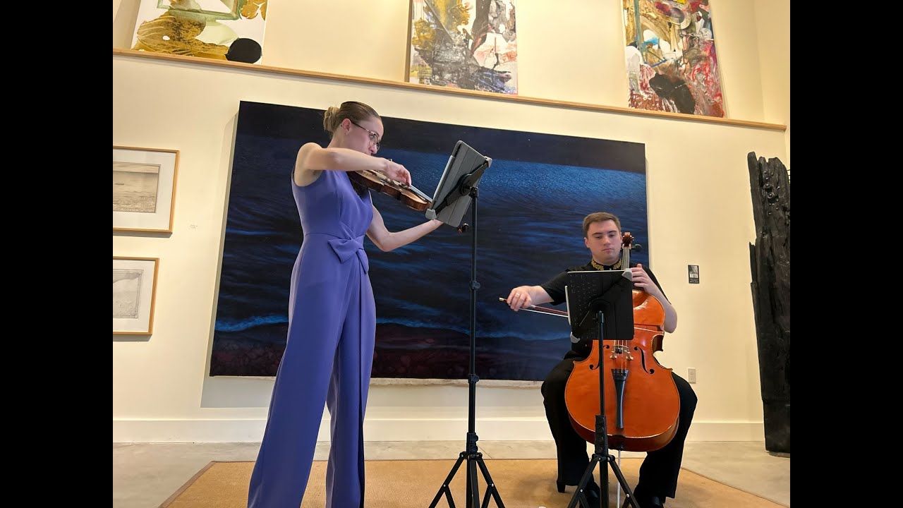 ARCADIA VIOLIN AND CELLO IN THE WOODS