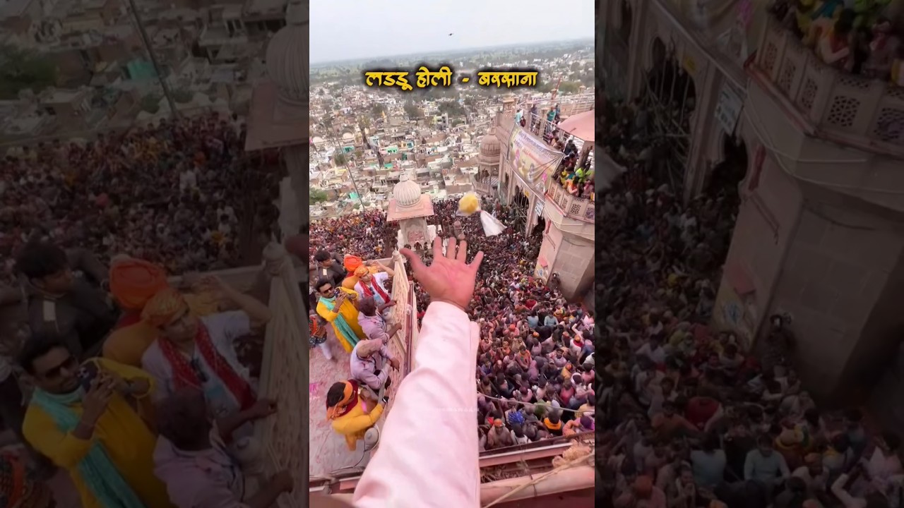 Laddu Holi Barsana | #ladduholi #barsana #holi #holi2026 #shorts #youtubeshorts