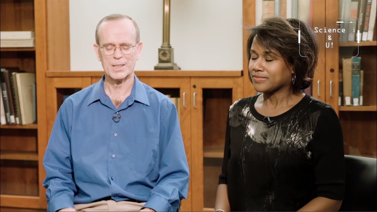 Dr. Richard Brown's Healing Power of the Breath