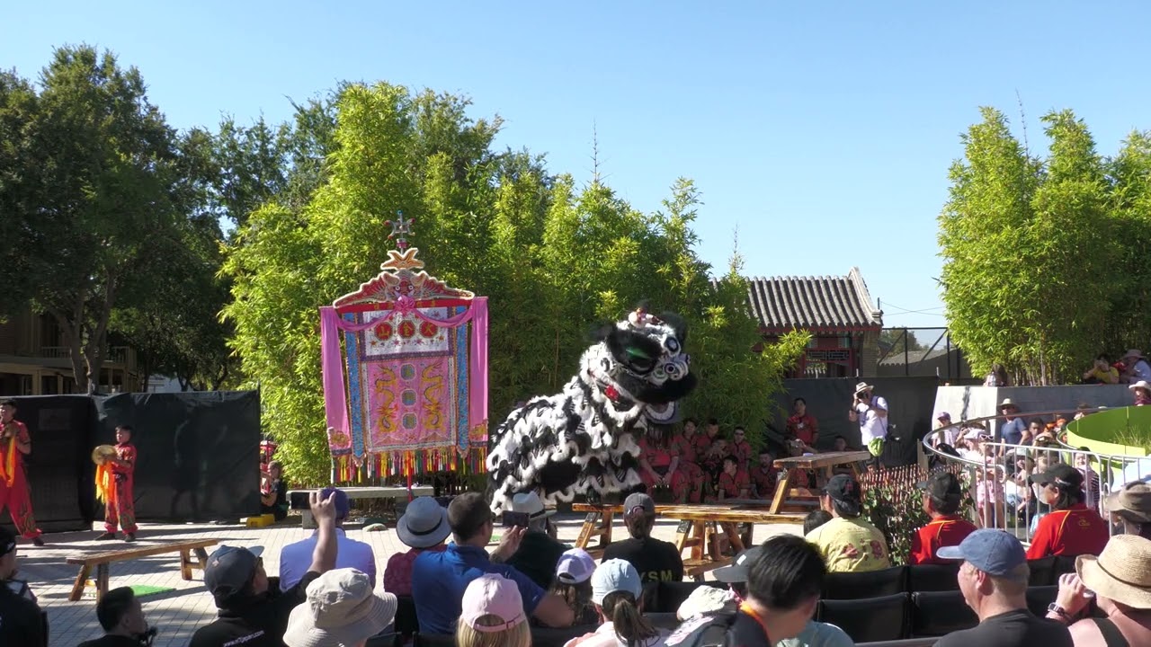 HH – The Awakening – Lion Dance - Bendigo Easter Festival 2024