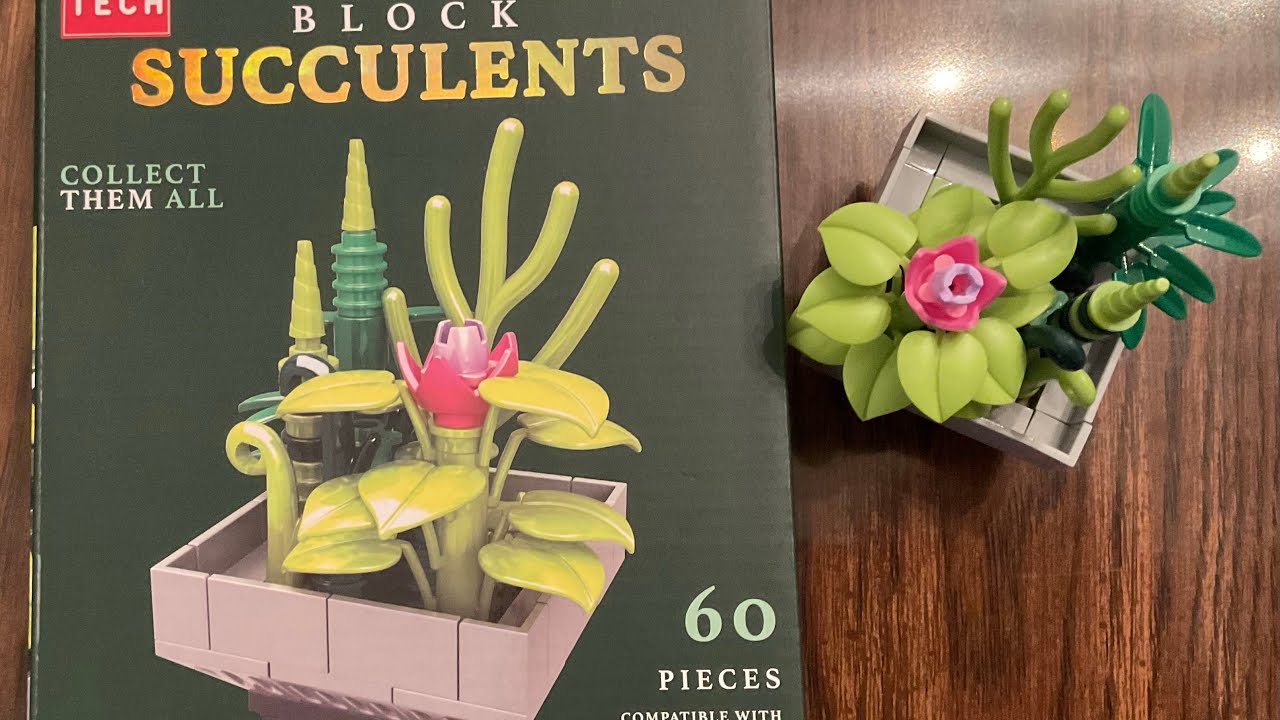 Let’s Build Off Brand LEGO from Five Below | Block Tech Succulents Buckhorn Cholla