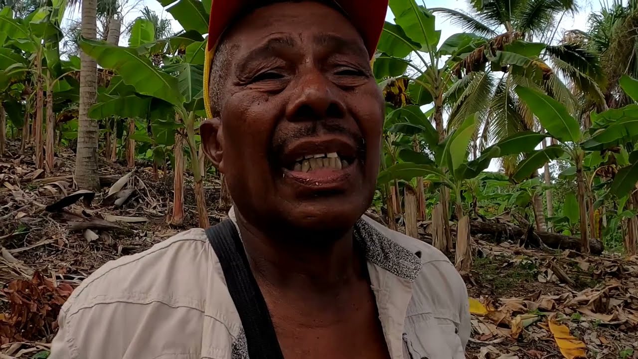 Rio Cedro Rigo