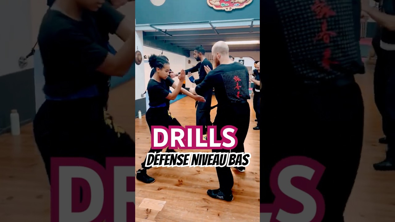WING CHUN BASIC DRILLS ⛩️ D&eacute;fenses au niveau bas