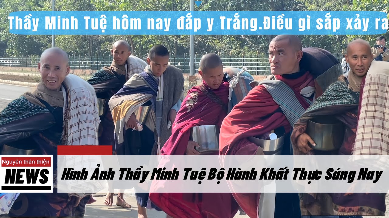 Thầy Minh Tuệ bộ hành khất thực cùng các Sư Phụ mới nhất sáng nay 29/1 