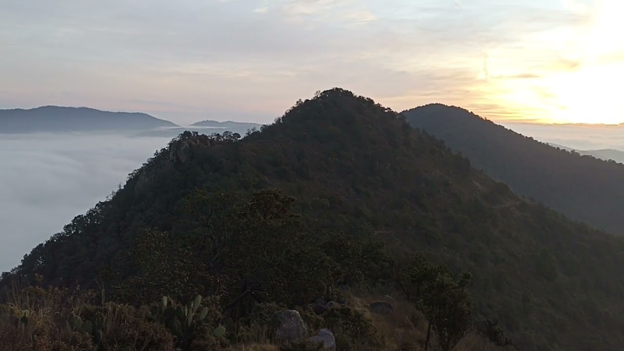T.bob patita de perro  conviviendo con la naturaleza  un amanecer  en la  montaña#42