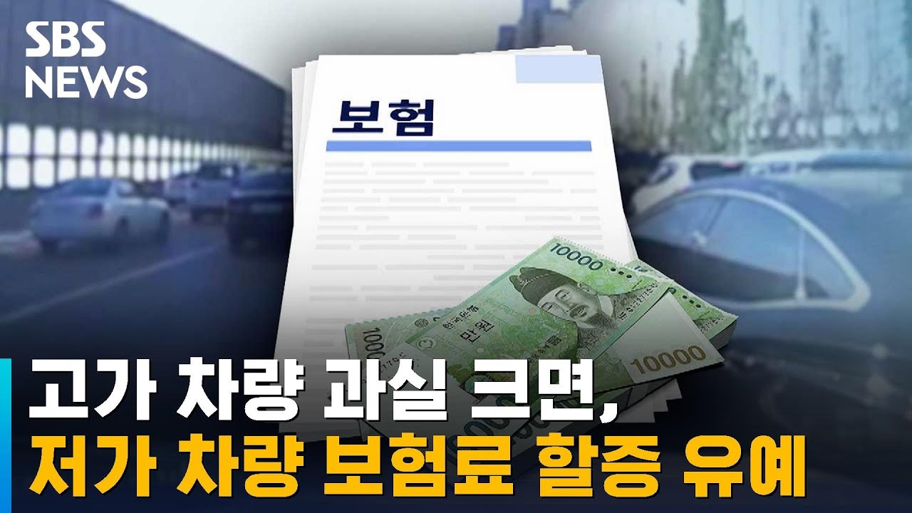 고가 차량 과실 크면, 저가 차량 보험료 할증 유예해준다 / SBS