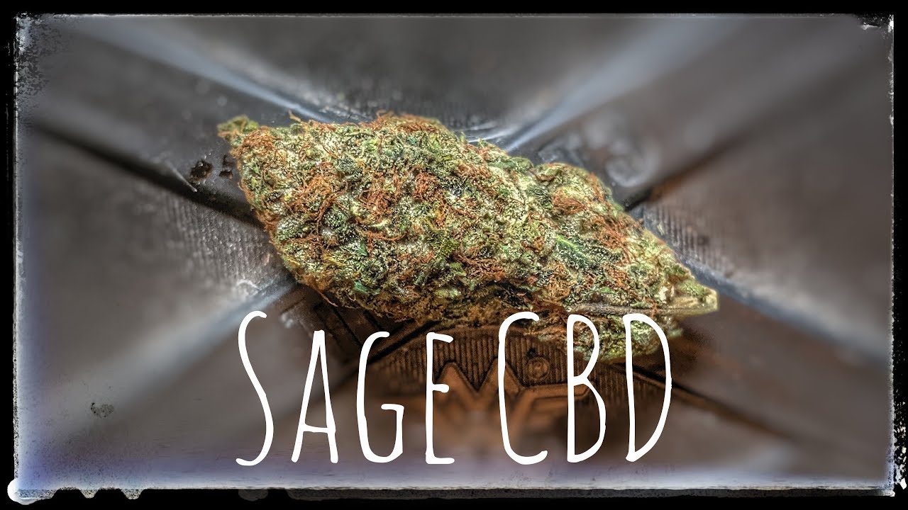 Strain Review - S.A.G.E. CBD