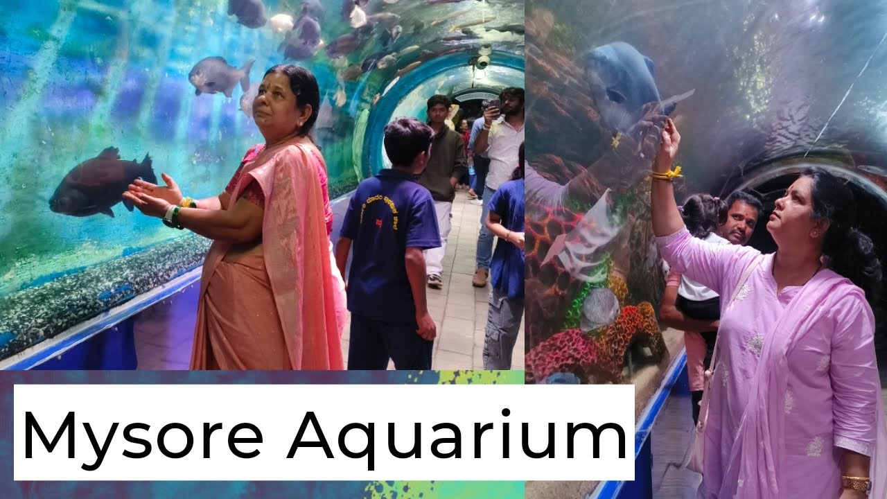 ಮಕ್ಕಳನ್ನು ಕರೆದುಕೊಂಡು ಹೋಗಿದ್ದು ಸಾರ್ಥಕ ಆಯ್ತು👌🤗