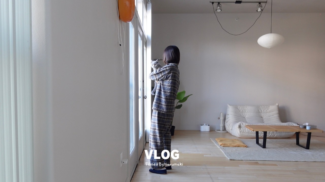 home vlog) 昼からおでんを仕込む｜インテリア好き28歳｜ブリティッシュショートヘア