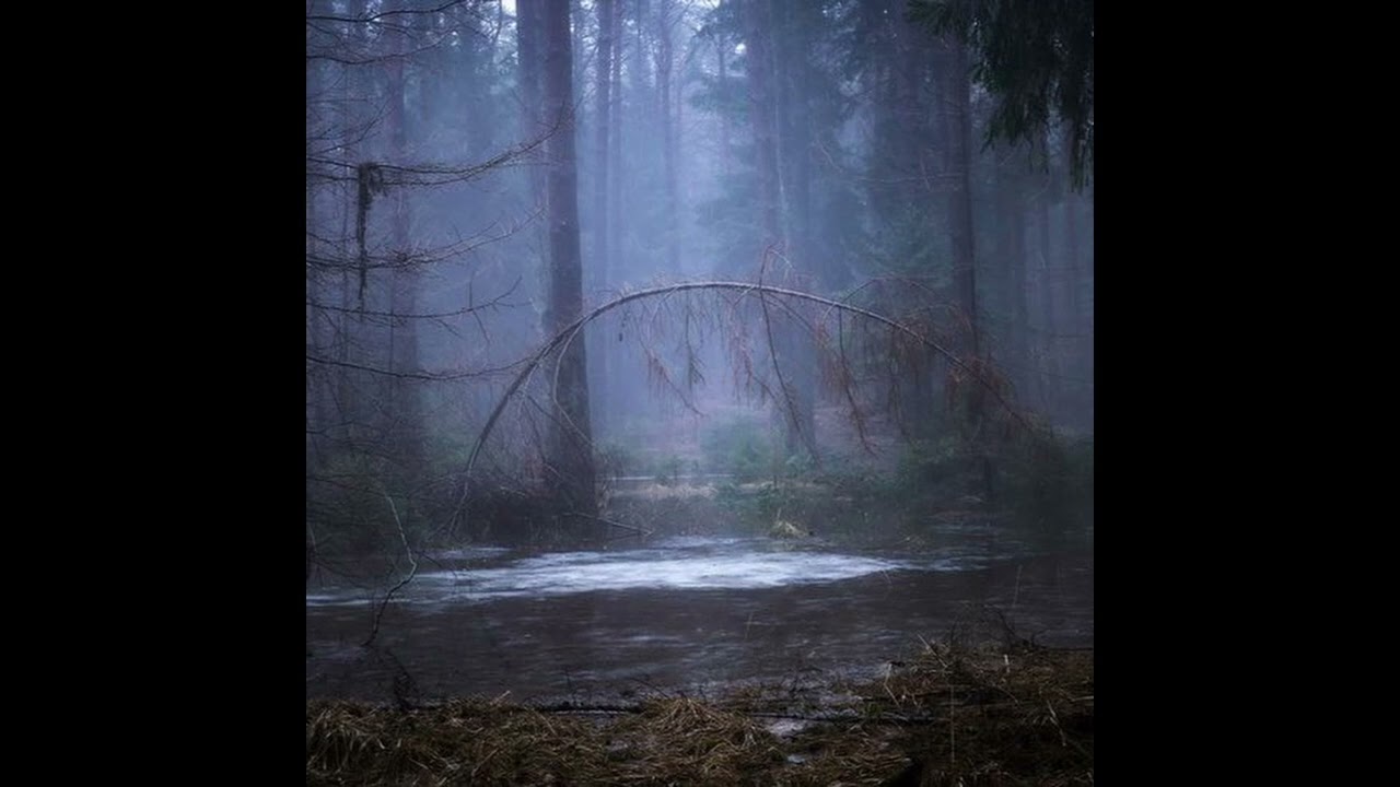 Rakita - Lonely