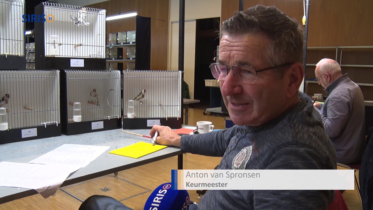 Vogeltentoonstelling Zang & Kleur
