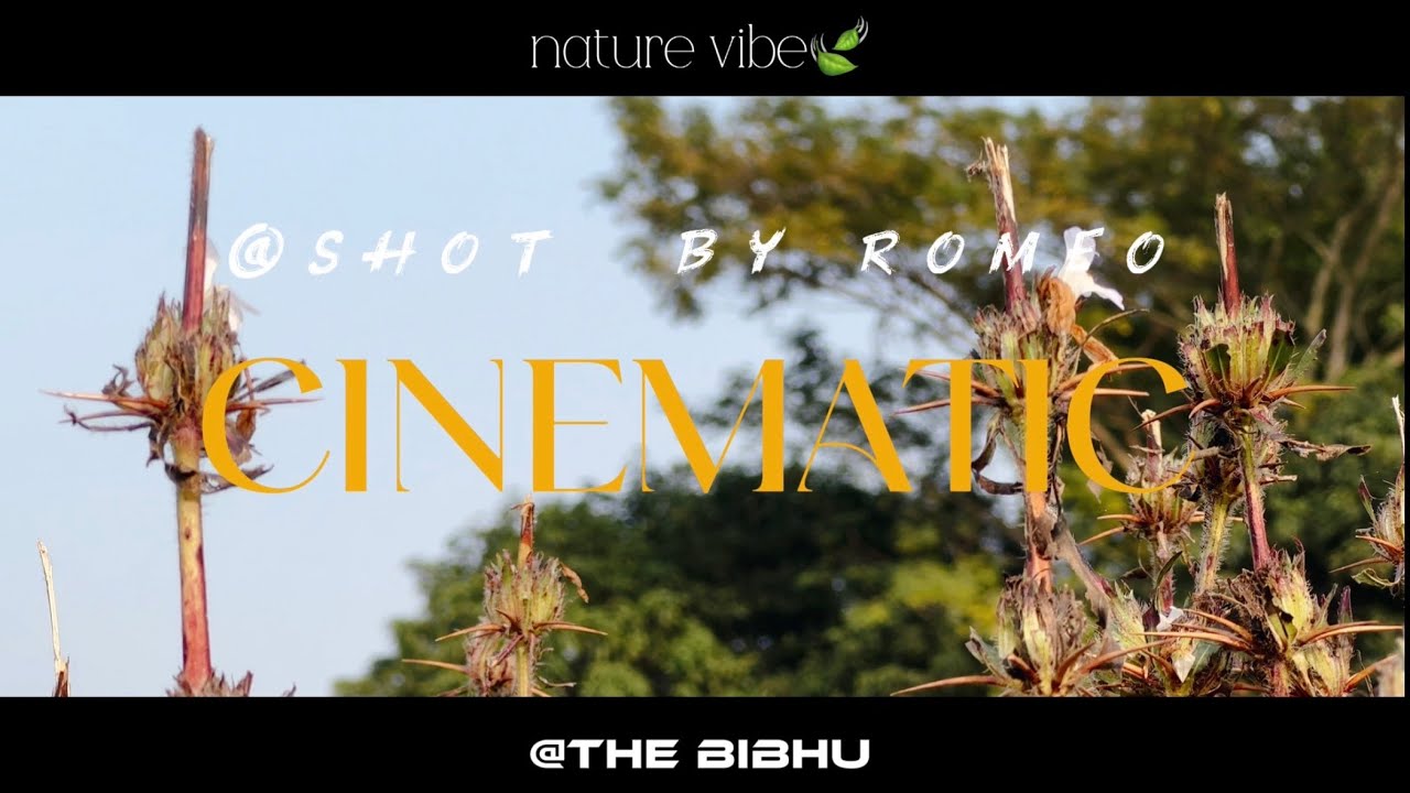￼Nature cinematic video 🎬 (@BIBHULIFESTYLEMANUAL )