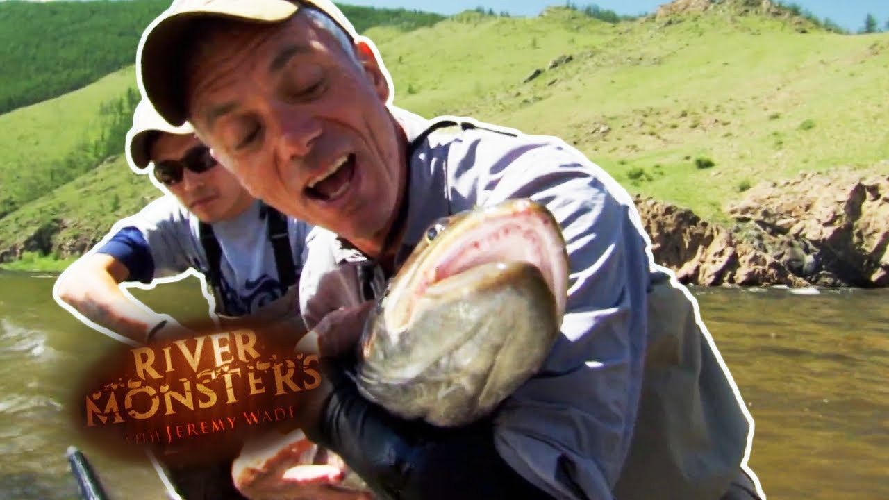 It Takes 2 Men To Catch This Monster Taimen Fish | TAIMEN | River Monsters