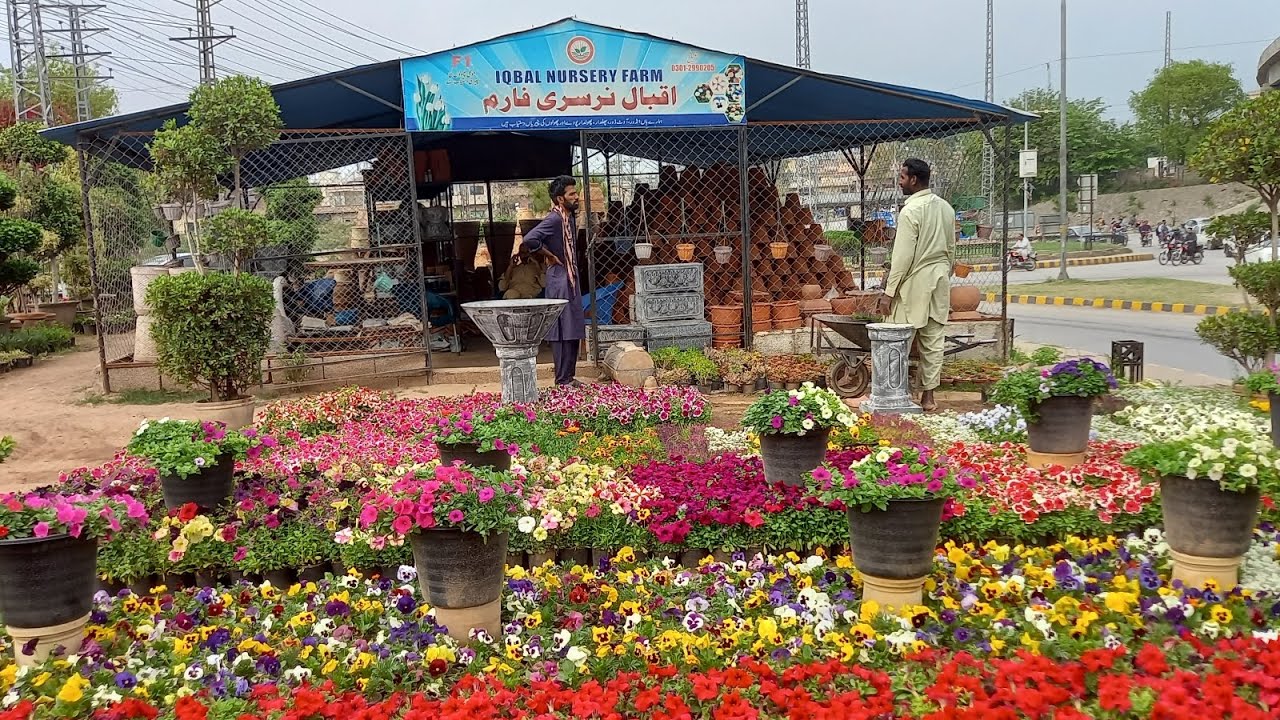 Visit To Iqbal Nursery Farm Rawalpindi  🇵🇰