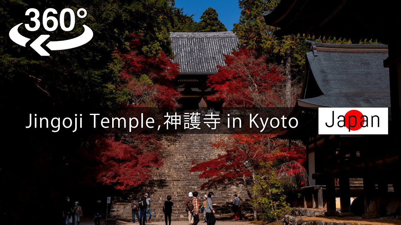 【 Japan-VR 】Jingo-ji Temple in autumn【8K video】
