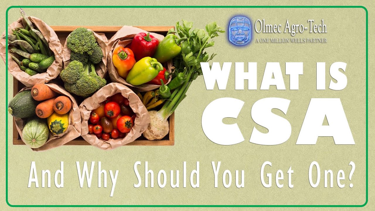 What Is CSA (Community Supported Agriculture)?