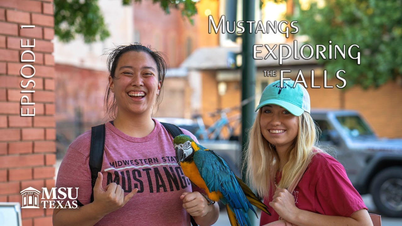 Mustangs Exploring the Wichita Falls art walk!