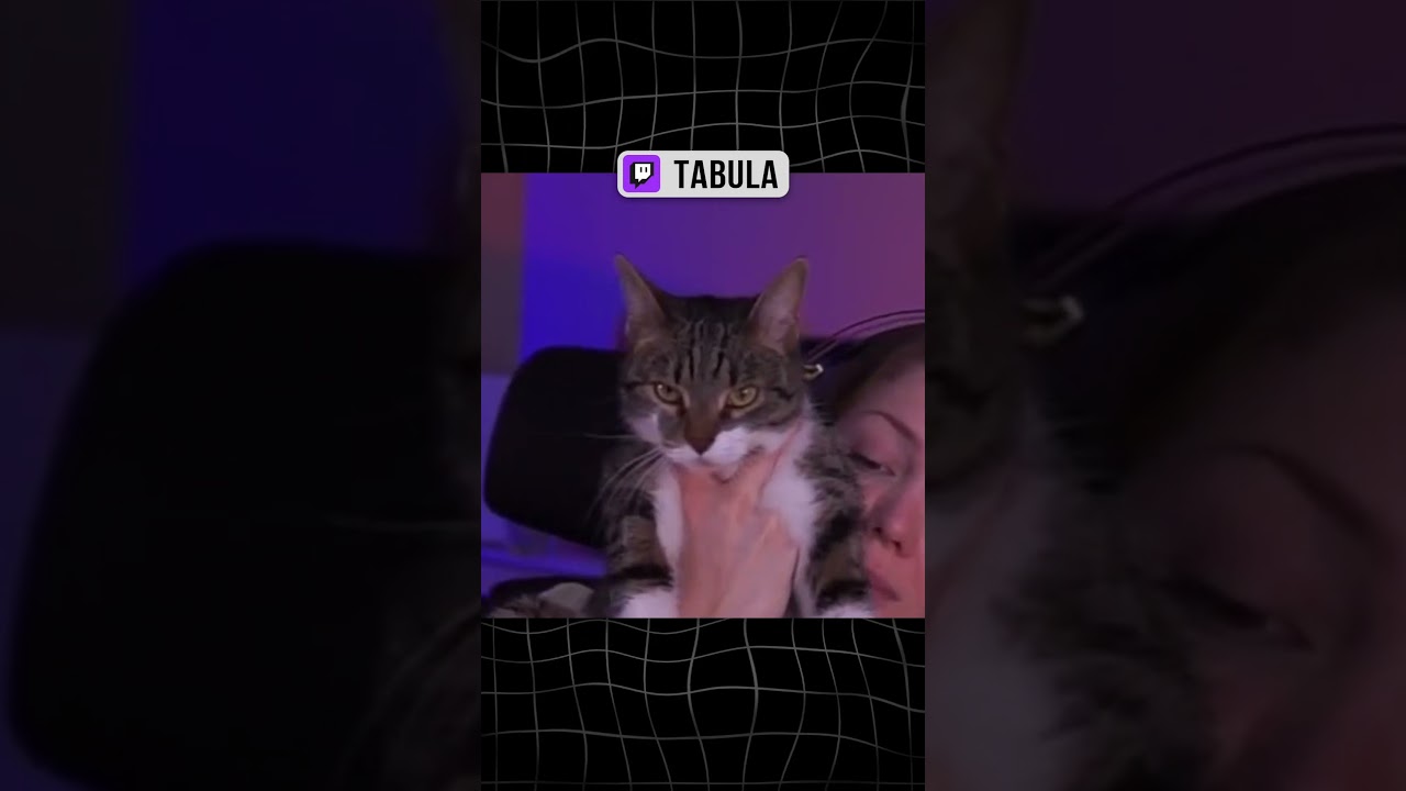 Вас заметили | 