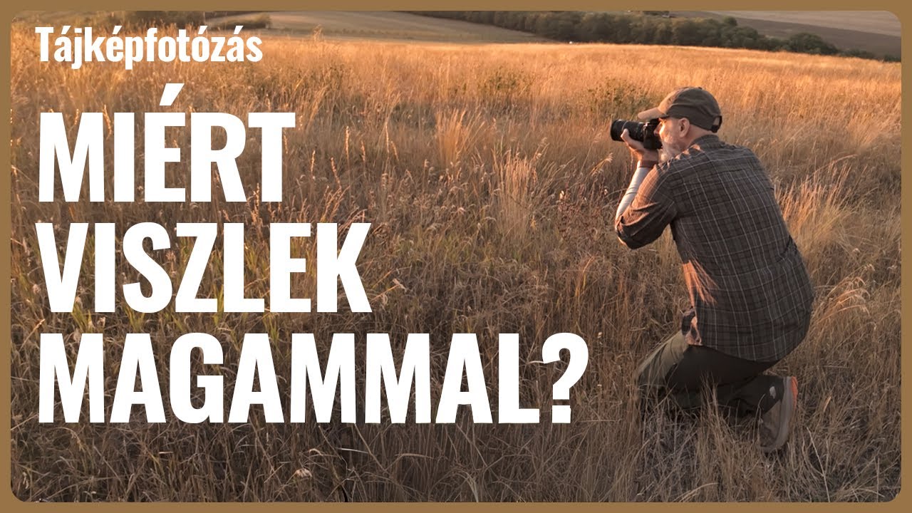 Miért viszlek magammal?