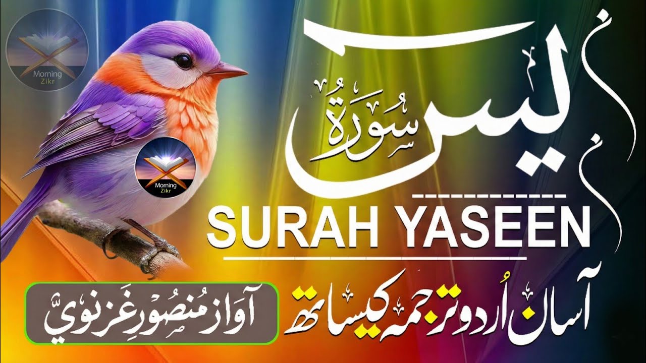 Surah Yasin Full | Surat Yaseen with Urdu Translation | Beautiful Quran Tilawat | Hindi Tarjuma