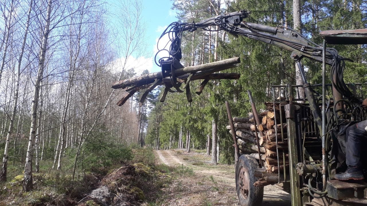 Chwytak samoróbka w akcji. Załadunek drewna w lesie, zrywka Ursusc C 328