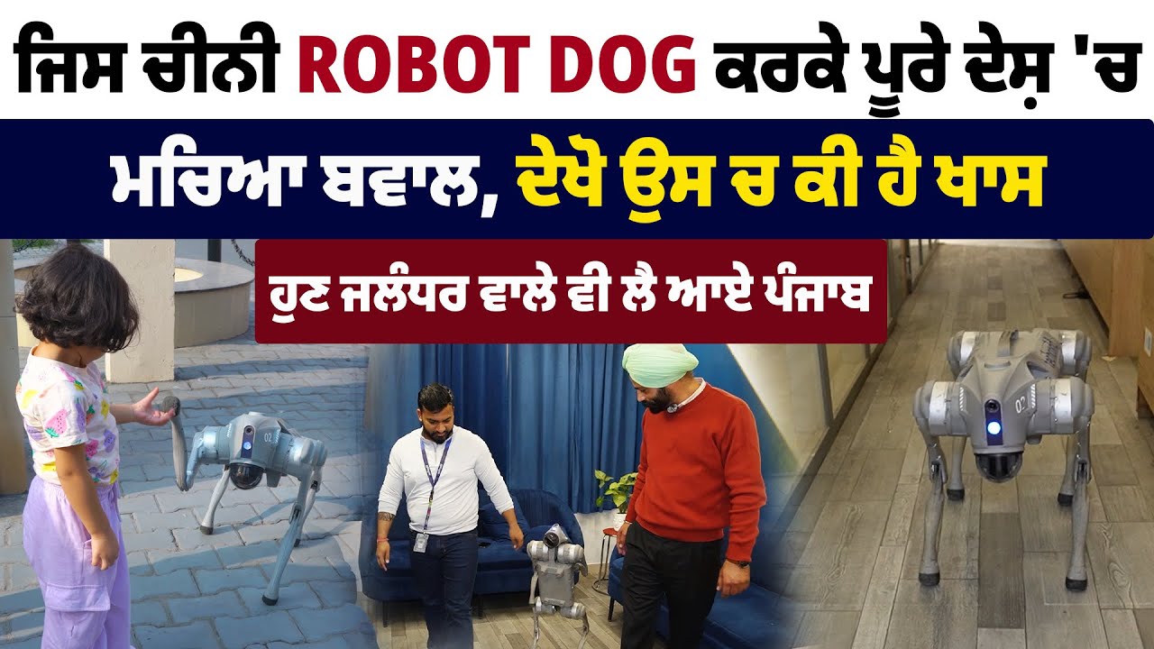 ਜਿਸ ਚੀਨੀ Robotic Dog ਕਰਕੇ ਪੂਰੇ ਦੇਸ਼ ਚ ਮਚਿਆ ਬਵਾਲ, ਦੇਖੋ ਉਸ ਚ ਕੀ ਹੈ ਖਾਸ