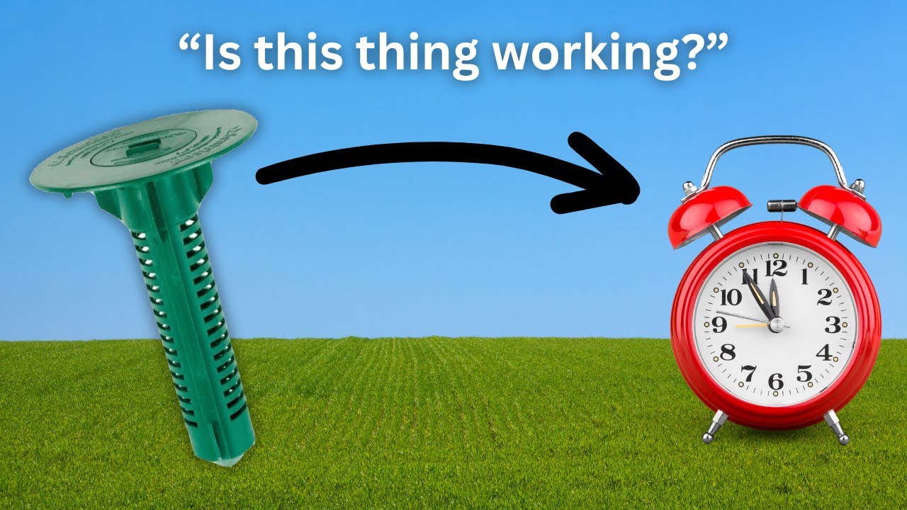 How Long Does Sentricon Take to Kill Termites???