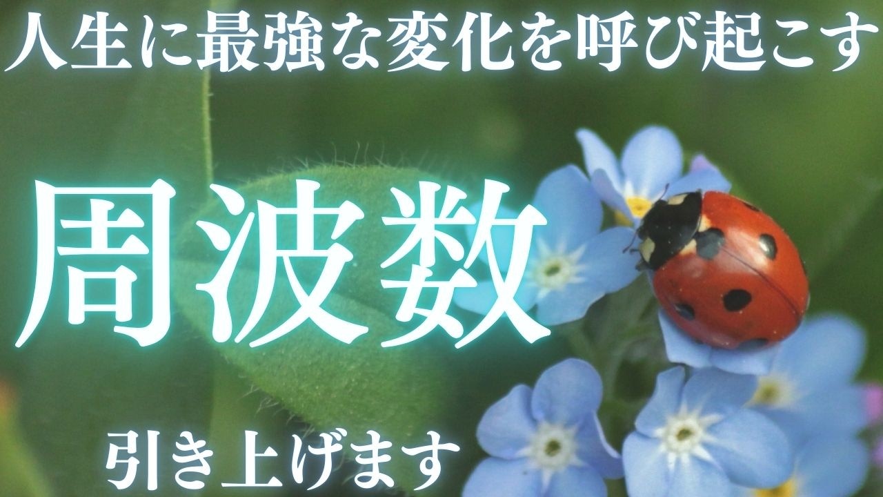 【人生の流れを底上げする、最強周波数】リズムが整うと、選ぶものが変わり、選ぶものが変わると、人生の質が変わります。