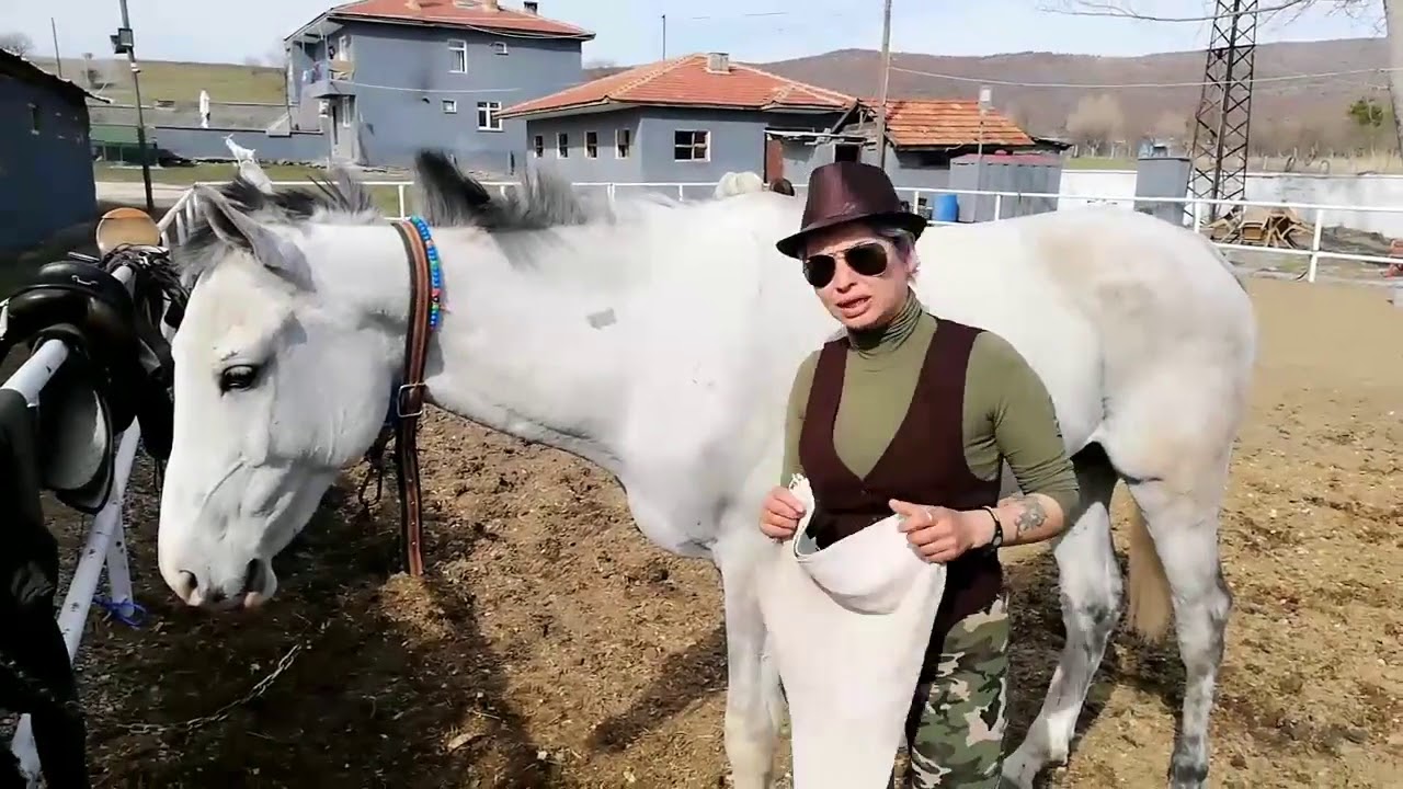 At nasıl eyerlenir?